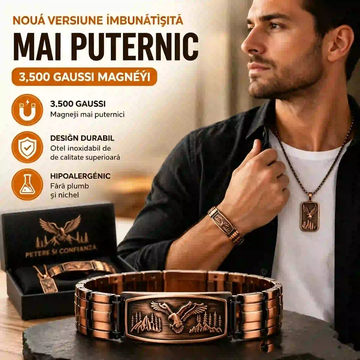 🔥【Brățară + Colier】Brățară magnetică pentru bărbați cu motiv de vultur