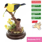 🦜🐦Simulare controlată vocal, ornamente creative drăguțe cu păsări controlate vocal, ornamente decorative pentru biroul camerei
