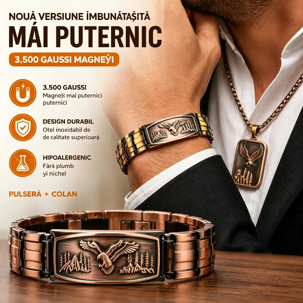🔥【Brățară + Colier】Brățară magnetică pentru bărbați cu motiv de vultur