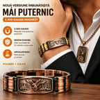 🔥【Brățară + Colier】Brățară magnetică pentru bărbați cu motiv de vultur