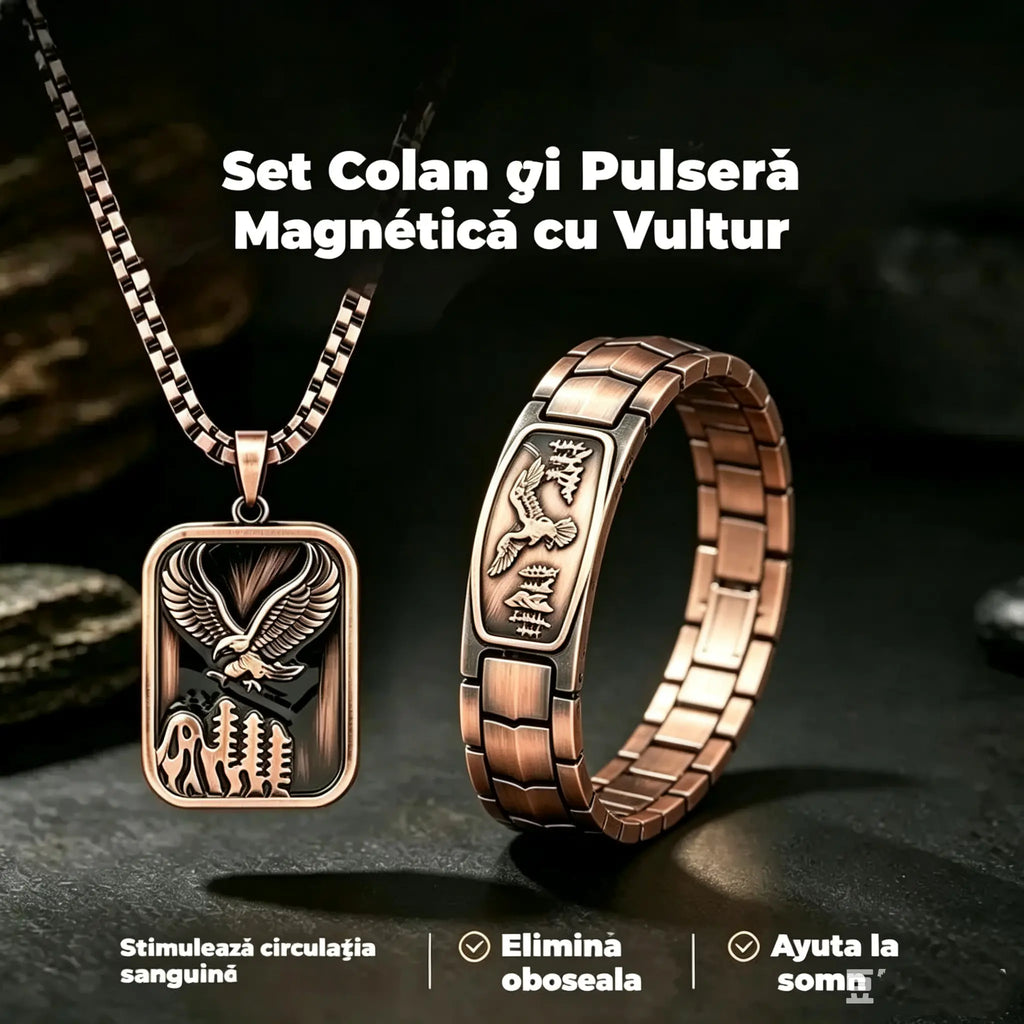 🔥【Brățară + Colier】Brățară magnetică pentru bărbați cu motiv de vultur